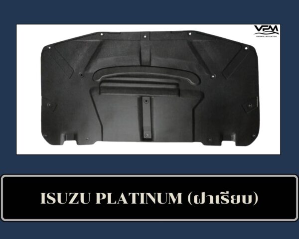 Isuzu Platinum 2008-2010 Isuzu Platinum 2008-2010
